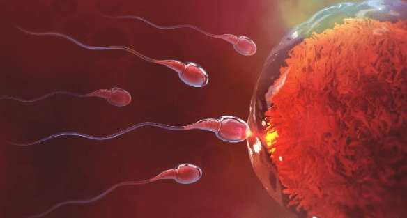 Fertility care